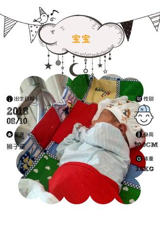 journal_insert_pic_1075164303