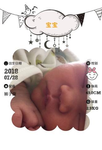 journal_insert_pic_1075308197
