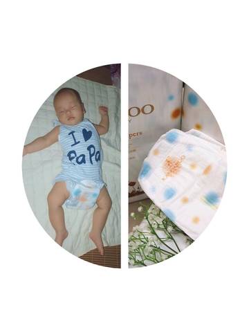 journal_insert_pic_1075432669