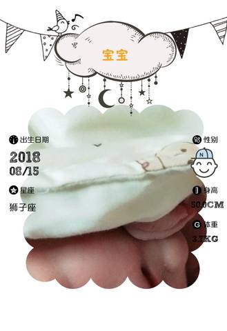 journal_insert_pic_1075596810