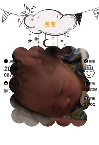 journal_insert_pic_1075862193