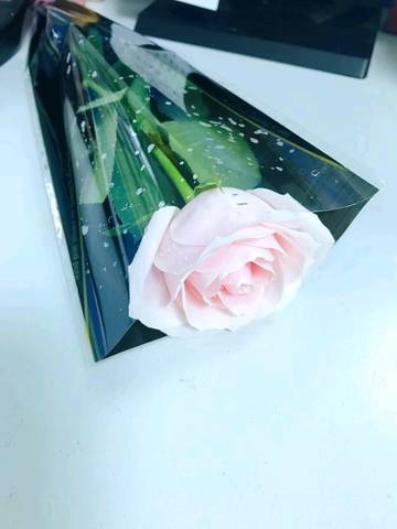 journal_insert_pic_1075932205