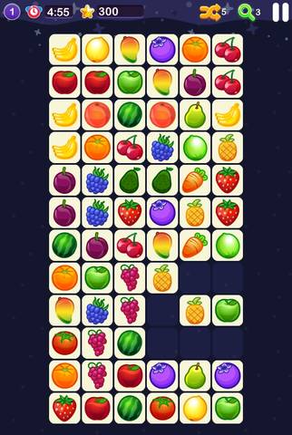 journal_insert_pic_1076156601