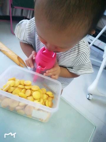 journal_insert_pic_1076361307