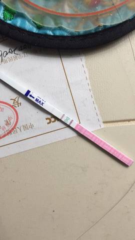 journal_insert_pic_1076341426