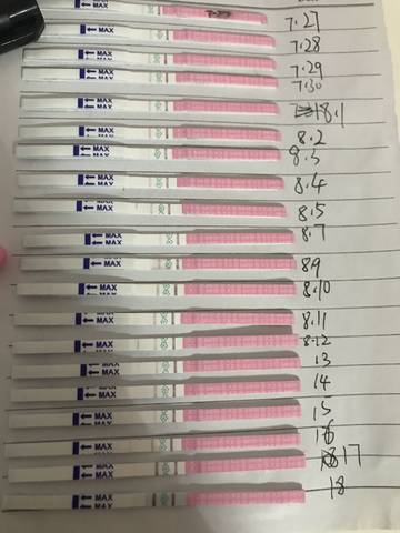 journal_insert_pic_1076149000