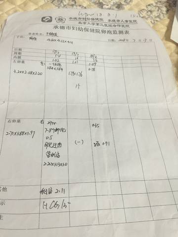 journal_insert_pic_1077791410