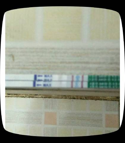 journal_insert_pic_1078285768