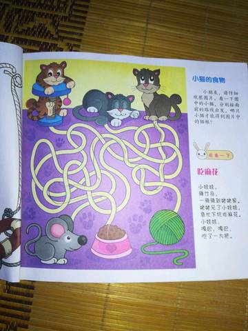 journal_insert_pic_1078373313
