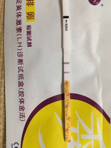 journal_insert_pic_1078115656