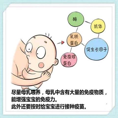 journal_insert_pic_1078650535