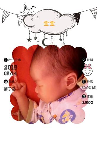 journal_insert_pic_1078721149