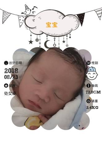 journal_insert_pic_1079551521
