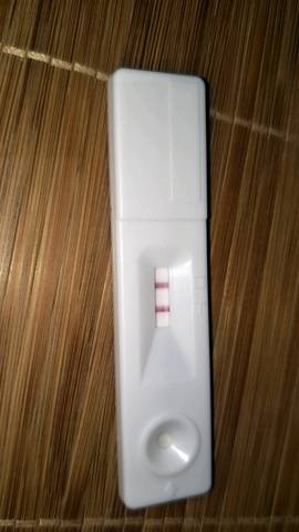 journal_insert_pic_1080036988