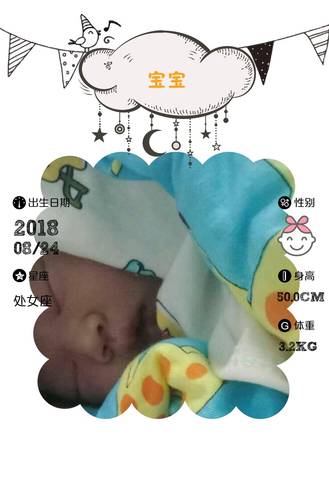 journal_insert_pic_1080667056