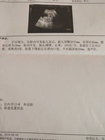 journal_insert_pic_1081357861