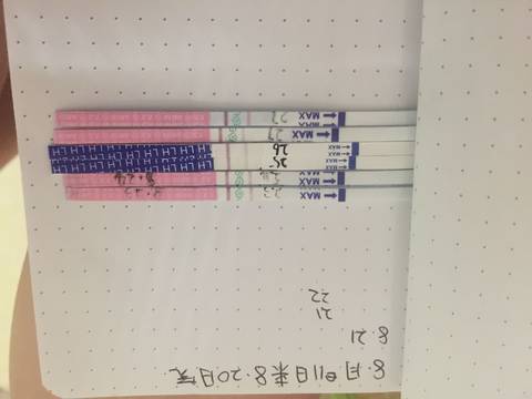 journal_insert_pic_1081751662
