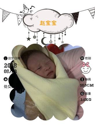 journal_insert_pic_1082009478