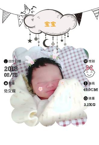 journal_insert_pic_1082544222