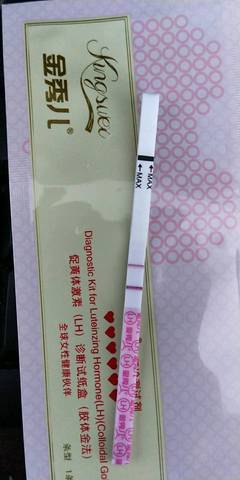 journal_insert_pic_1084760800