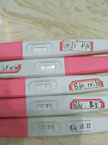 journal_insert_pic_1085348677