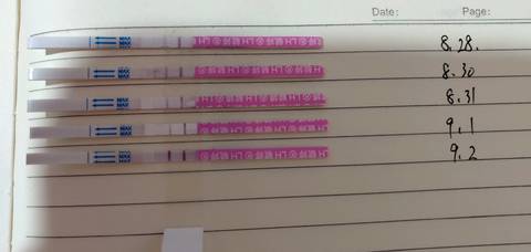 journal_insert_pic_1085809083