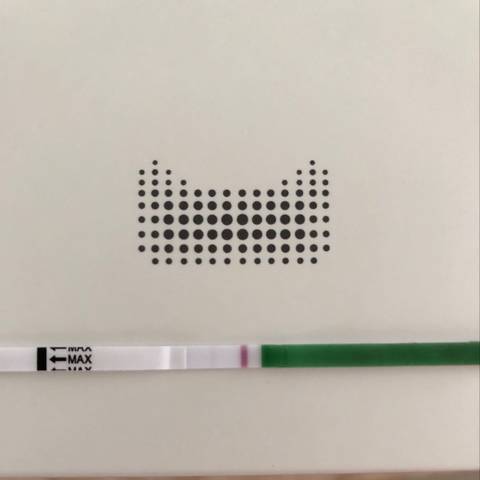 journal_insert_pic_1085459010
