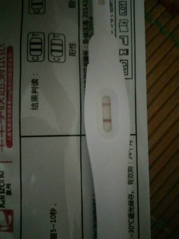 journal_insert_pic_1086386989