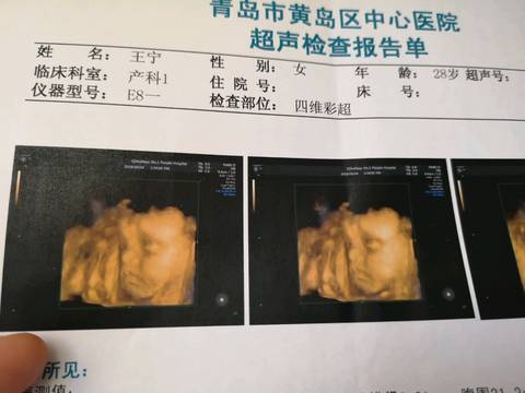 journal_insert_pic_1086971514