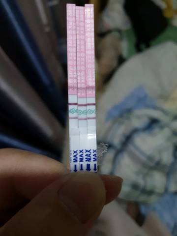 journal_insert_pic_1087621552