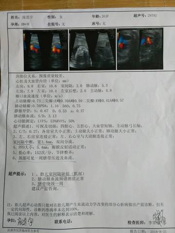 journal_insert_pic_1088068766