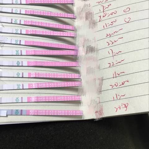 journal_insert_pic_1088751742