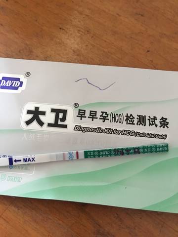 journal_insert_pic_1088576132