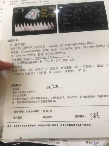 journal_insert_pic_1088991553