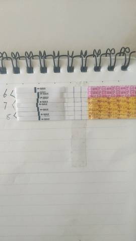 journal_insert_pic_1089545740