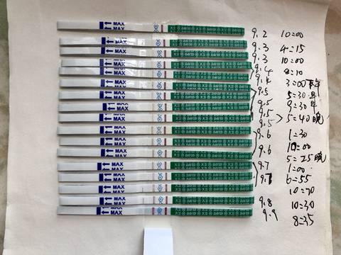 journal_insert_pic_1089515646
