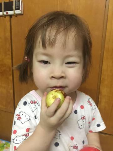 journal_insert_pic_1090579750