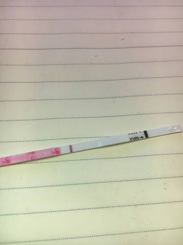 journal_insert_pic_1090815672