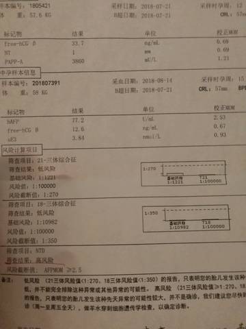journal_insert_pic_1090704034