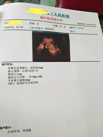 journal_insert_pic_1090552270