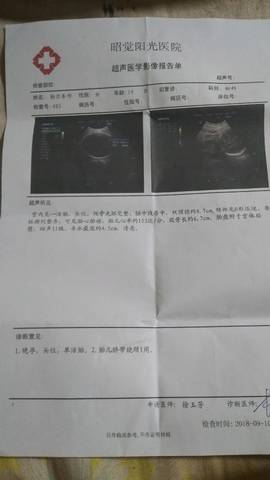 journal_insert_pic_1090696205
