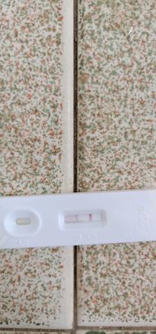 journal_insert_pic_1093155201