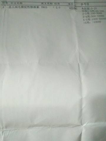 journal_insert_pic_1093420834