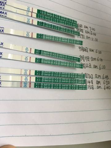 journal_insert_pic_1093212690