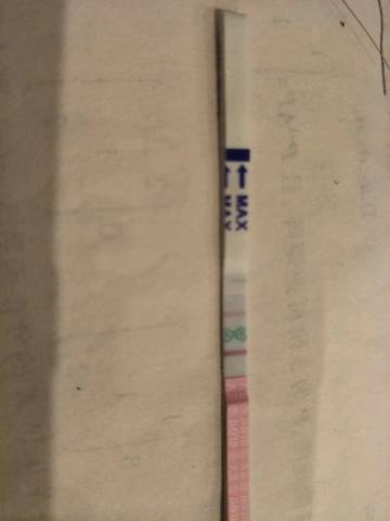 journal_insert_pic_1094126371