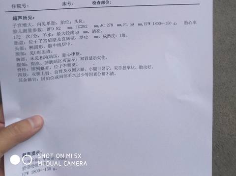 journal_insert_pic_1093880701