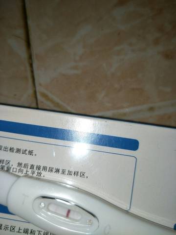 journal_insert_pic_1093778750