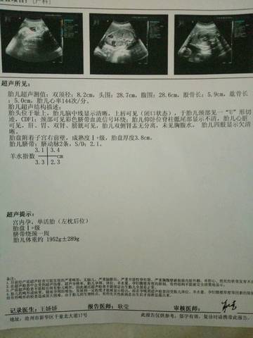 journal_insert_pic_1094708332