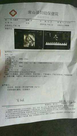 journal_insert_pic_1094494235