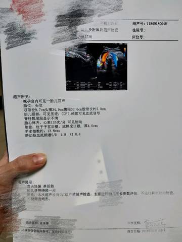 journal_insert_pic_1095111507